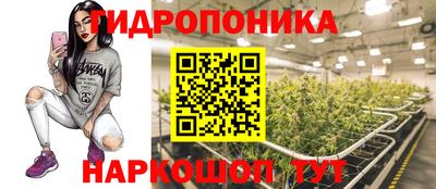 дживик Дубна